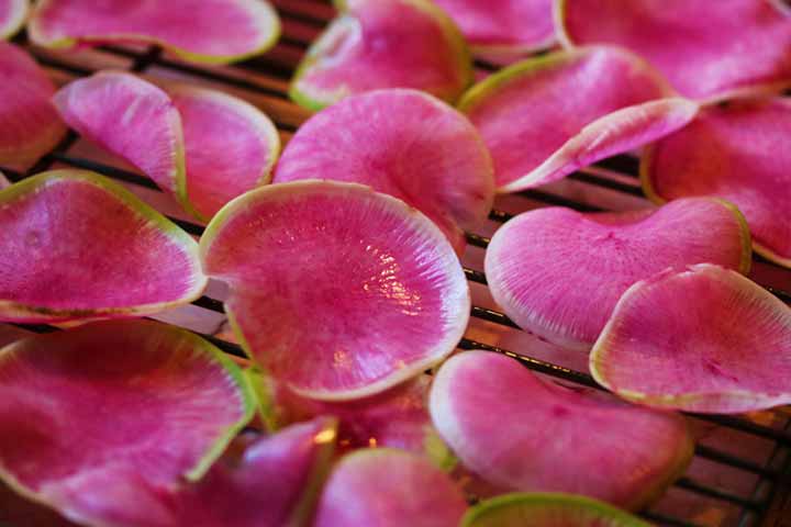 watermelon radish root slices on tray