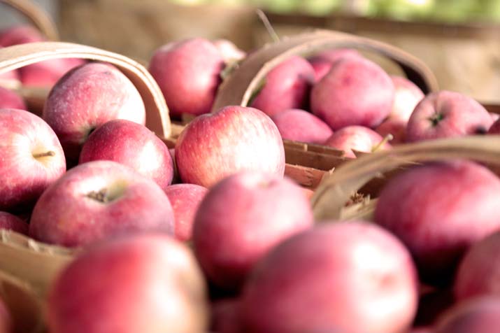 freshly picked apples for apple crisps